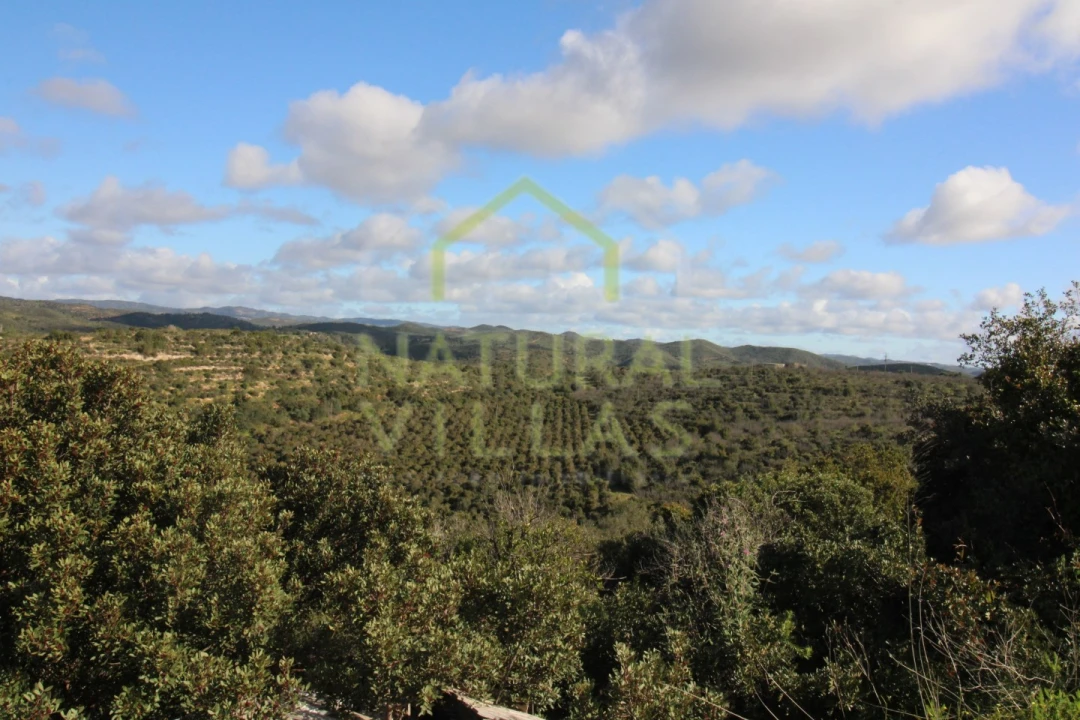 Quinta para Venda em Luz de Tavira e Santo Estêvão Foto 4