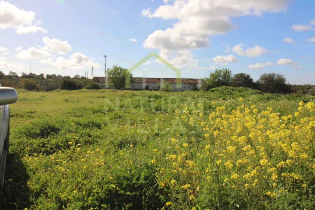 Quinta para Venda em Luz de Tavira e Santo Estêvão Foto 3
