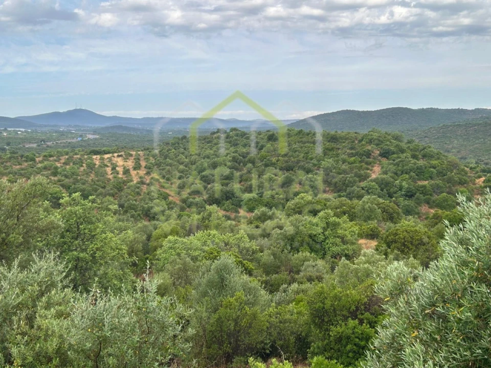 Quinta para Venda em Luz de Tavira e Santo Estêvão Foto 5
