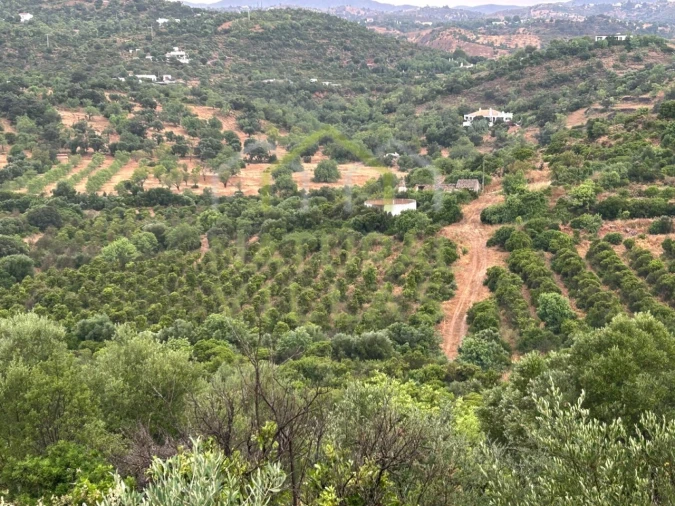 Quinta para Venda em Luz de Tavira e Santo Estêvão Foto 7