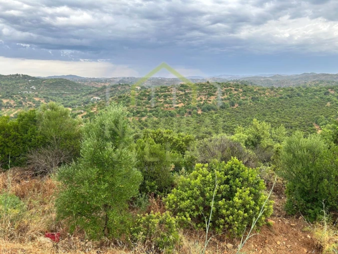 Quinta para Venda em Luz de Tavira e Santo Estêvão Foto 8