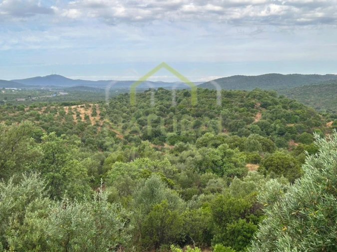 Quinta para Venda em Luz de Tavira e Santo Estêvão Foto 9