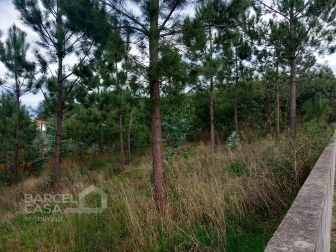 Terreno para Venda em Alvelos Foto 4