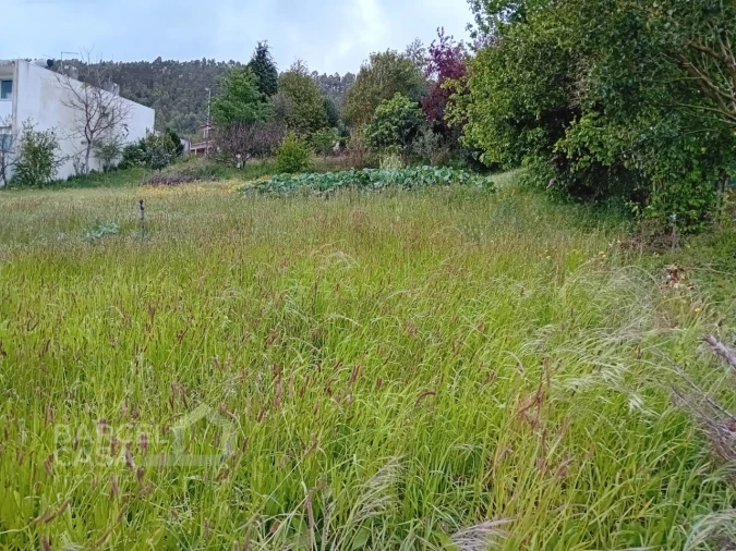Terreno para Venda em Carapeços Foto 13