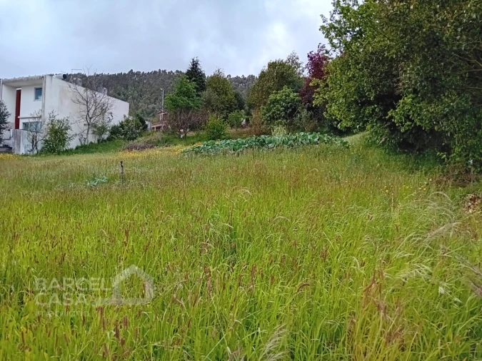 Terreno para Venda em Carapeços Foto 14