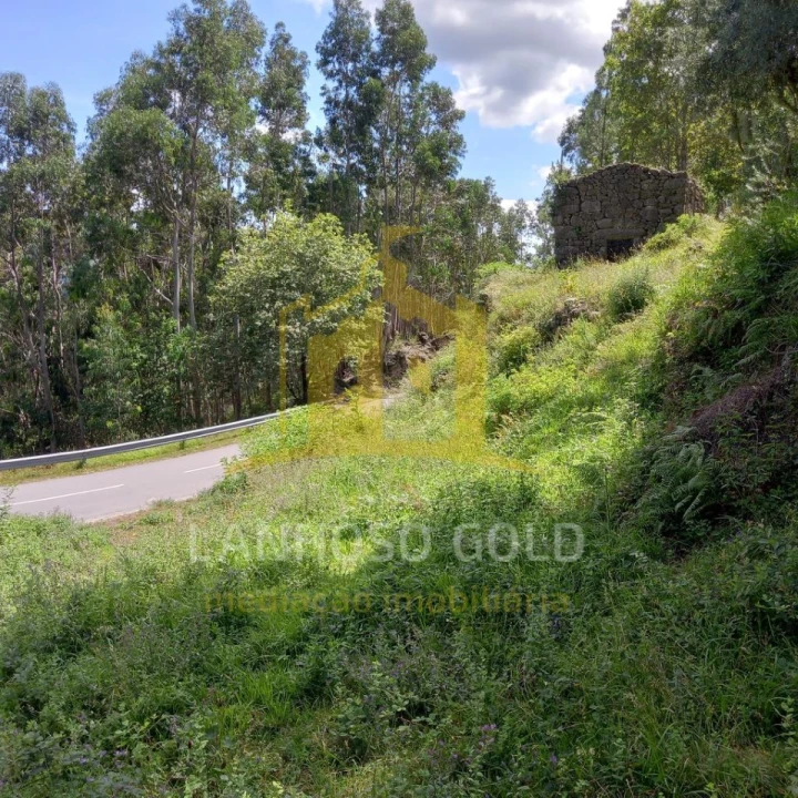 Terreno para Venda em Valdosende Foto 3