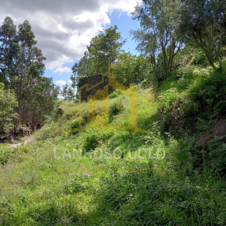 Terreno para Venda em Valdosende Foto 6