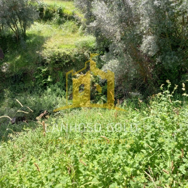 Terreno para Venda em Valdosende Foto 7
