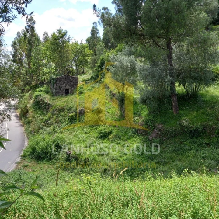Terreno para Venda em Valdosende Foto 9