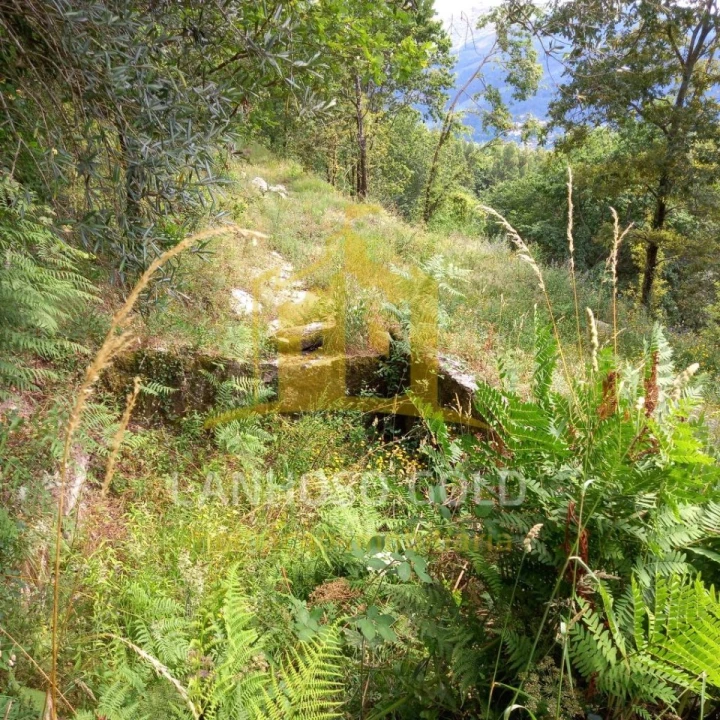 Terreno para Venda em Valdosende Foto 14
