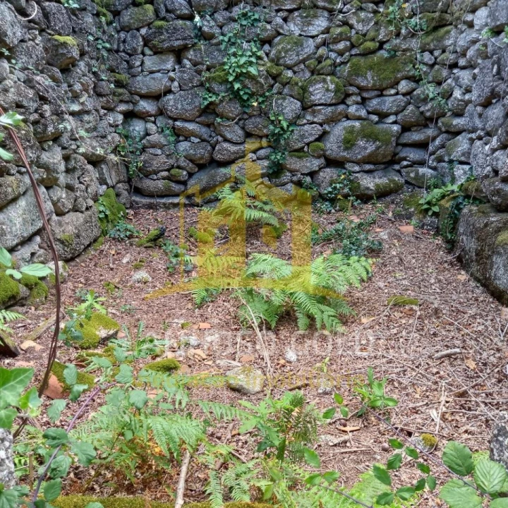 Terreno para Venda em Valdosende Foto 5