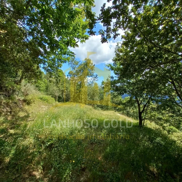 Terreno para Venda em Valdosende Foto 16