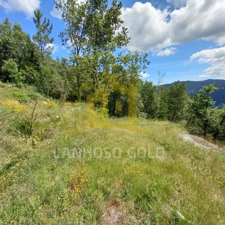 Terreno para Venda em Valdosende Foto 17