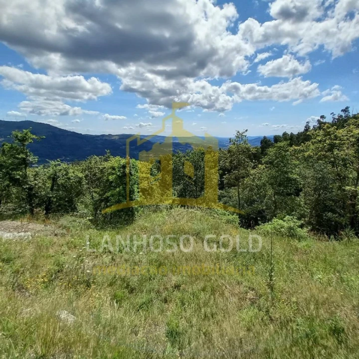 Terreno para Venda em Valdosende Foto 19