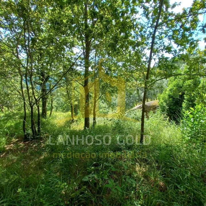 Terreno para Venda em Valdosende Foto 21