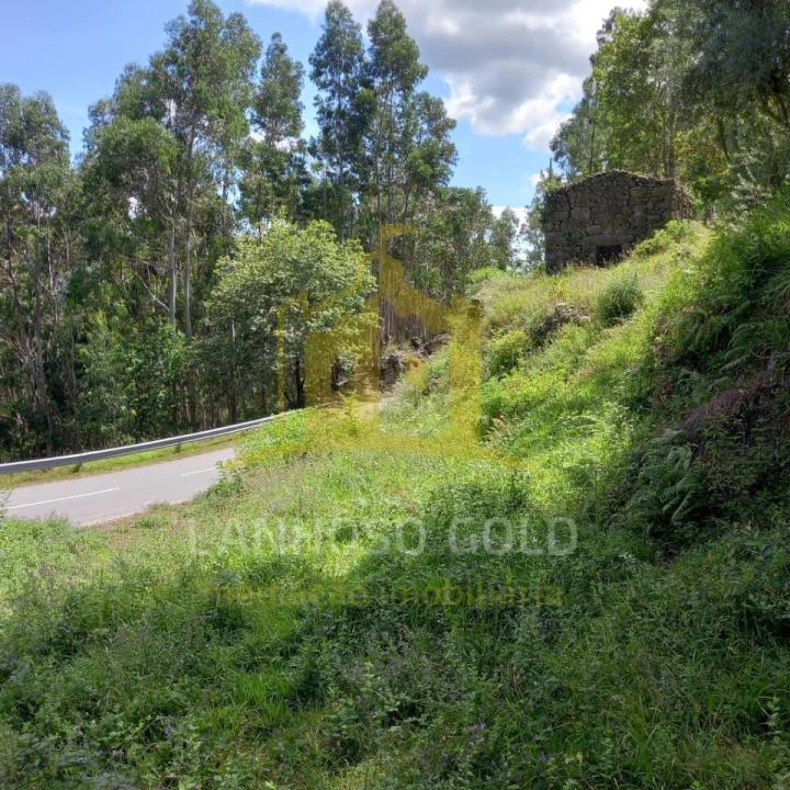 Terreno para Venda em Valdosende Foto 1
