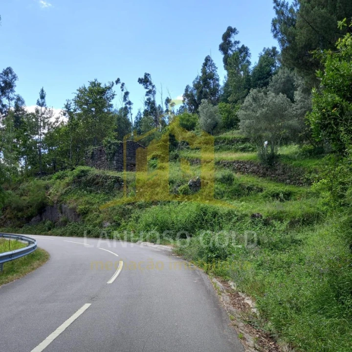 Terreno para Venda em Valdosende Foto 23