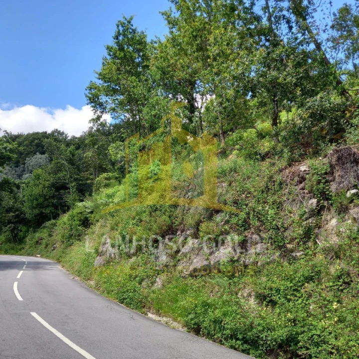 Terreno para Venda em Valdosende Foto 24