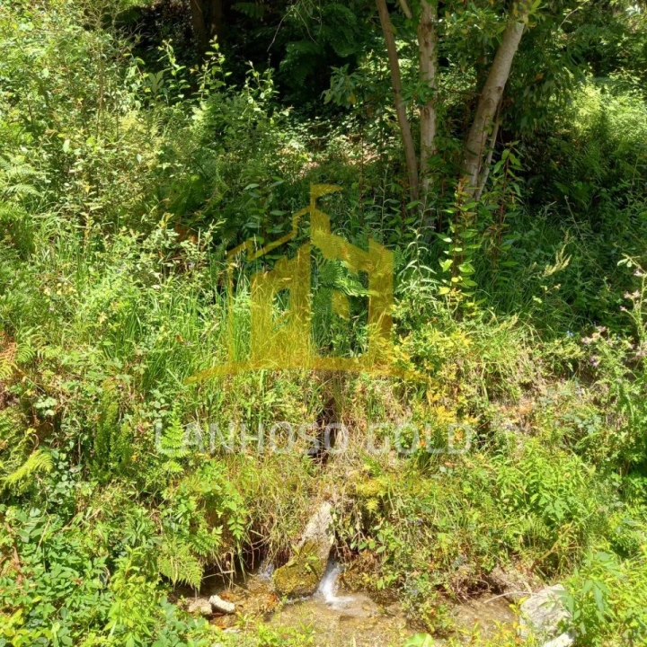 Terreno para Venda em Valdosende Foto 25