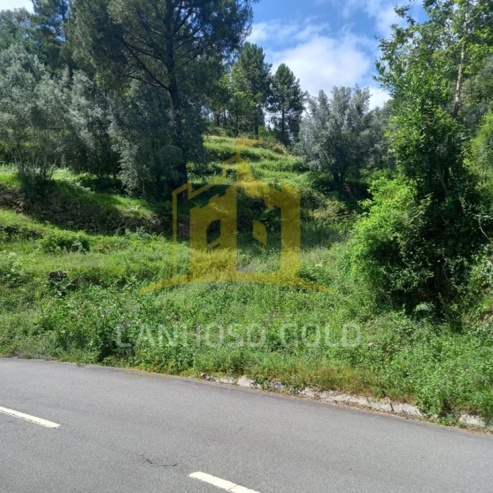 Terreno para Venda em Valdosende Foto 28