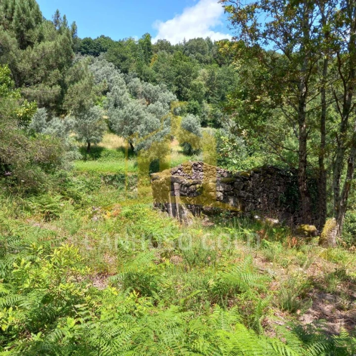 Terreno para Venda em Valdosende Foto 32