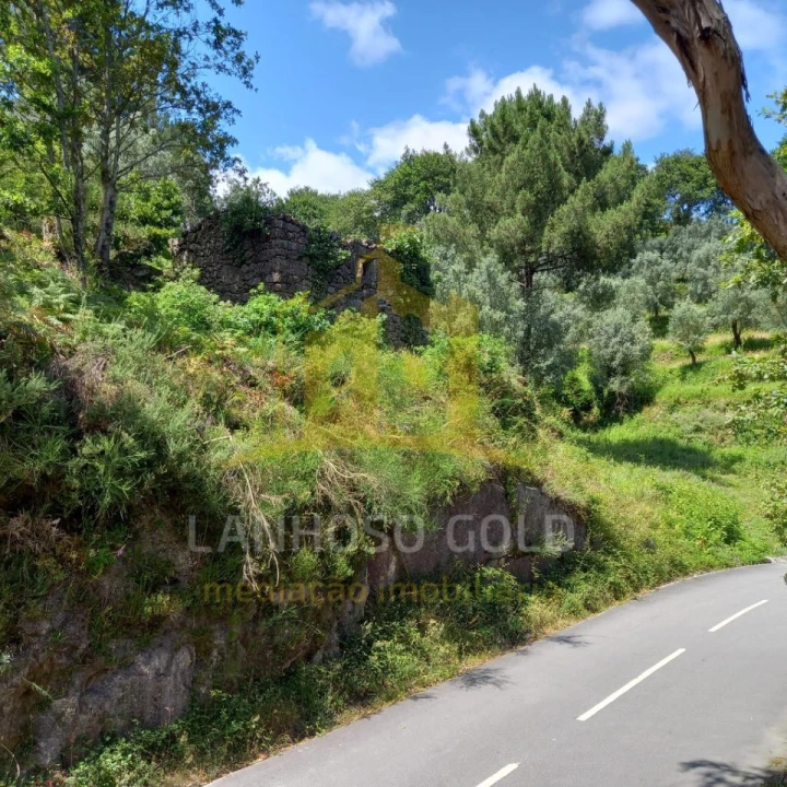 Terreno para Venda em Valdosende Foto 33