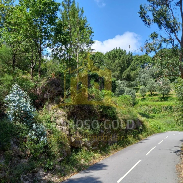 Terreno para Venda em Valdosende Foto 34