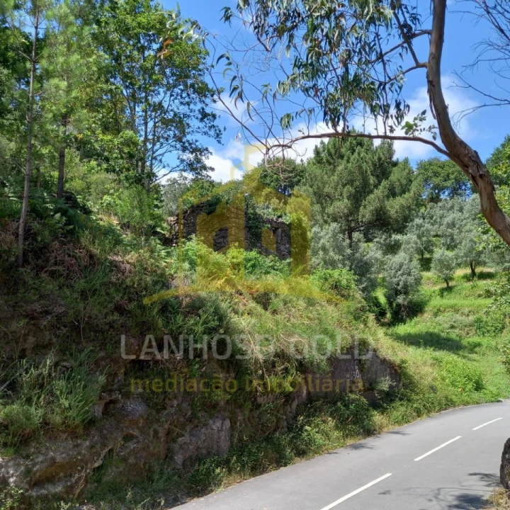 Terreno para Venda em Valdosende Foto 36