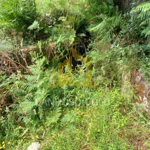 Terreno para Venda em Valdosende Foto 8