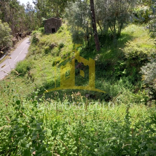 Terreno para Venda em Valdosende Foto 10