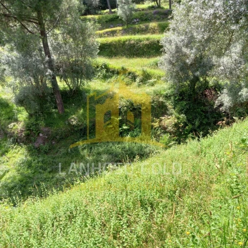 Terreno para Venda em Valdosende Foto 11