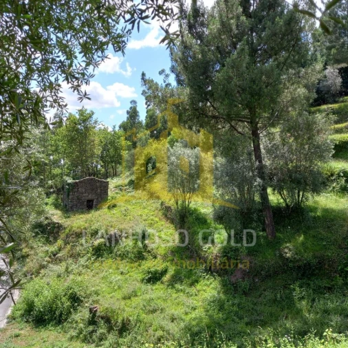 Terreno para Venda em Valdosende Foto 12