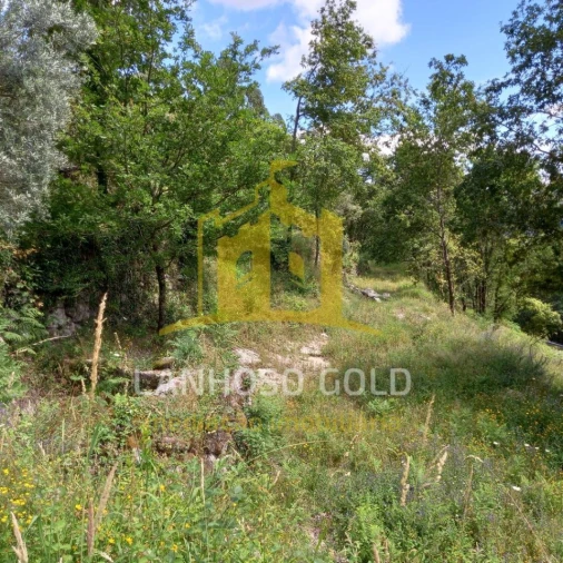 Terreno para Venda em Valdosende Foto 13