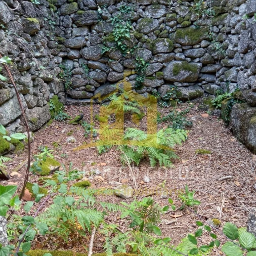 Terreno para Venda em Valdosende Foto 5