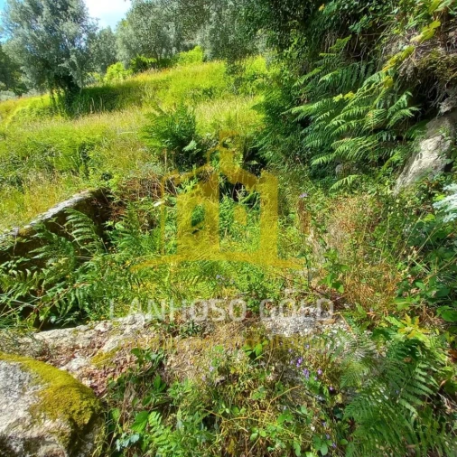 Terreno para Venda em Valdosende Foto 18