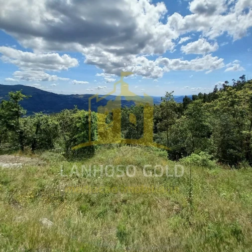 Terreno para Venda em Valdosende Foto 19