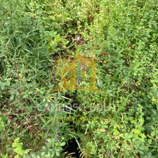 Terreno para Venda em Valdosende Foto 22