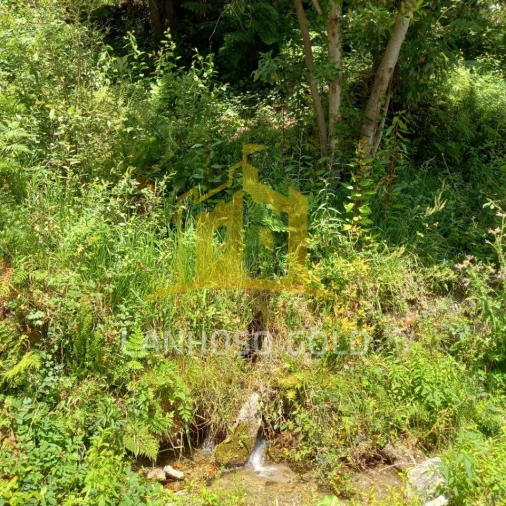 Terreno para Venda em Valdosende Foto 25