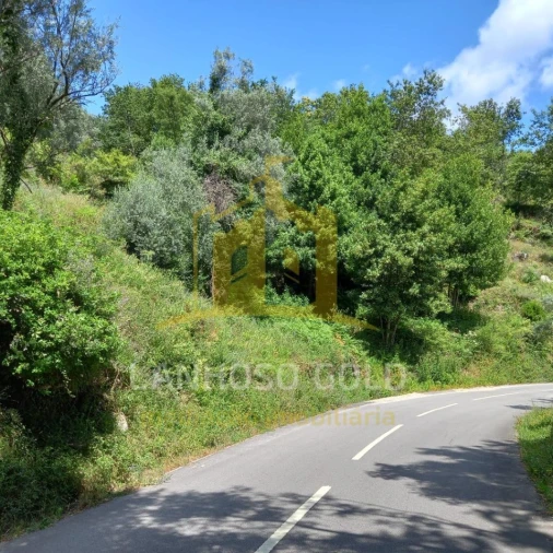 Terreno para Venda em Valdosende Foto 27
