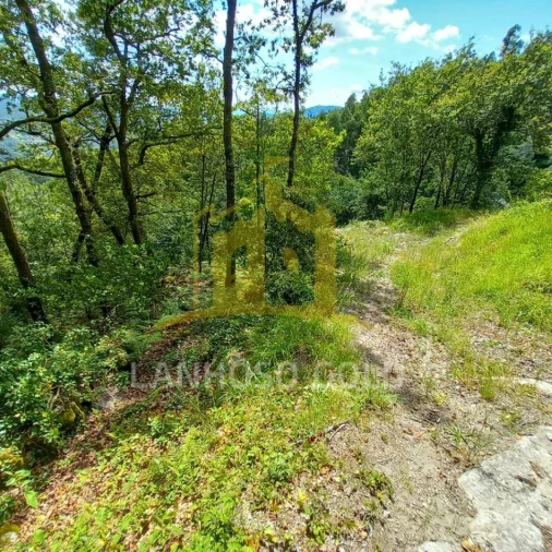 Terreno para Venda em Valdosende Foto 30