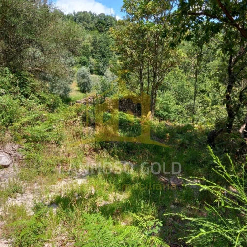 Terreno para Venda em Valdosende Foto 31