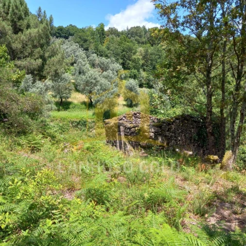 Terreno para Venda em Valdosende Foto 32