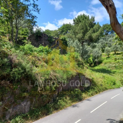 Terreno para Venda em Valdosende Foto 33