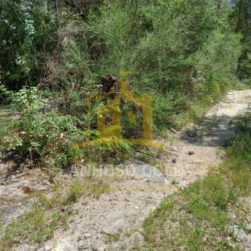 Terreno para Venda em Valdosende Foto 38