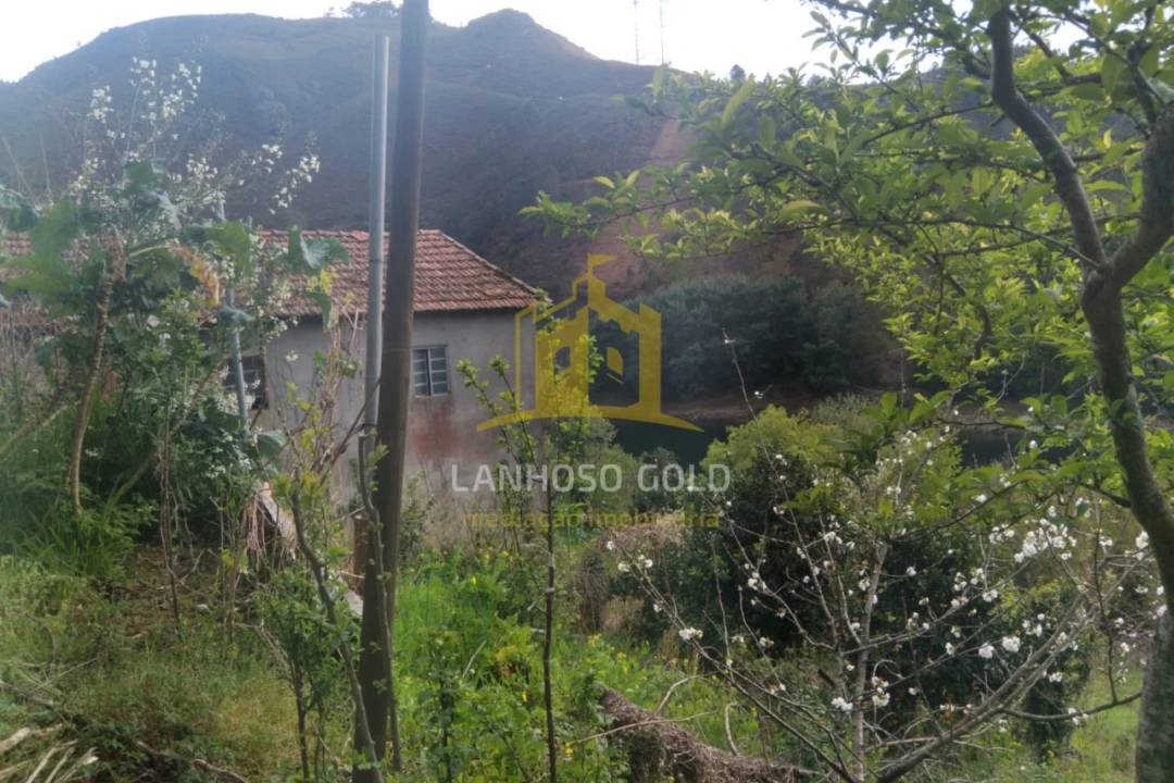 Terreno para Venda em Ferral Foto 21