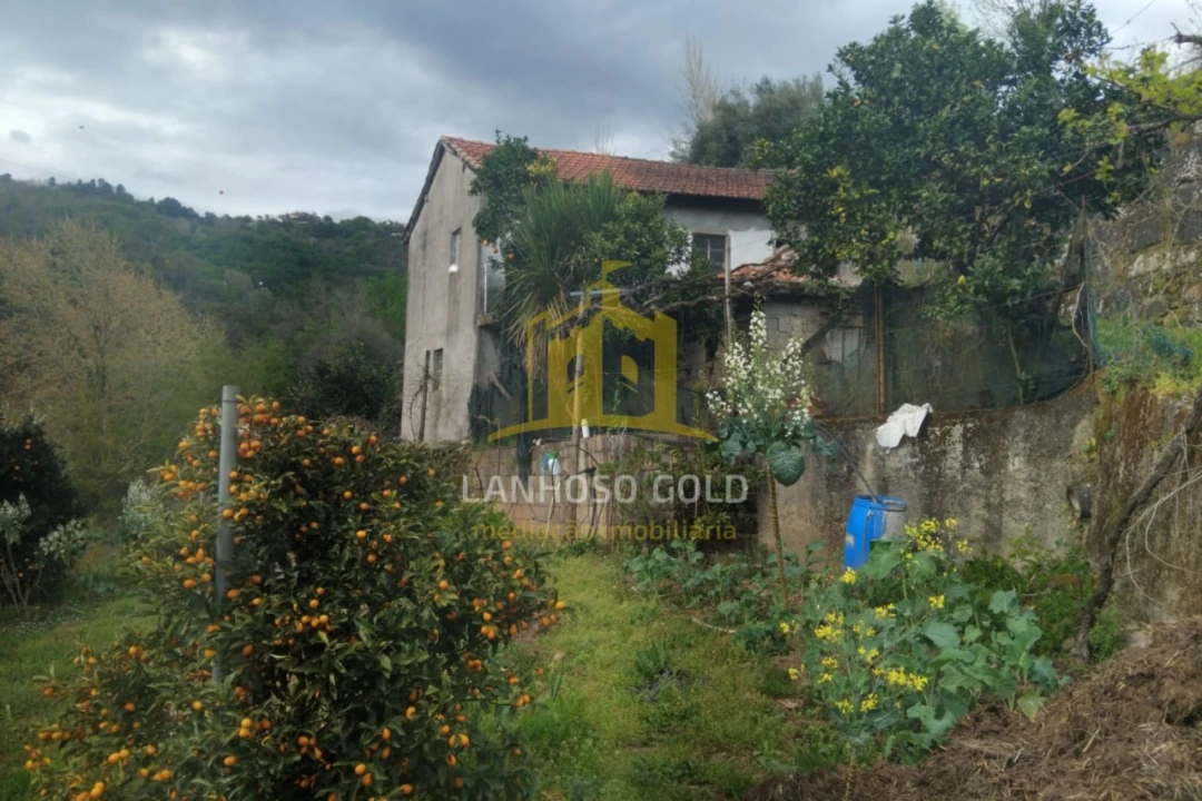 Terreno para Venda em Ferral Foto 3