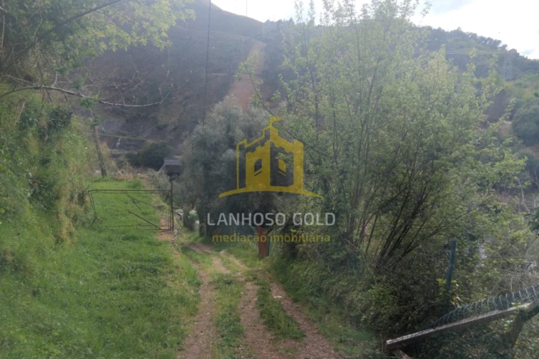 Terreno para Venda em Ferral Foto 15