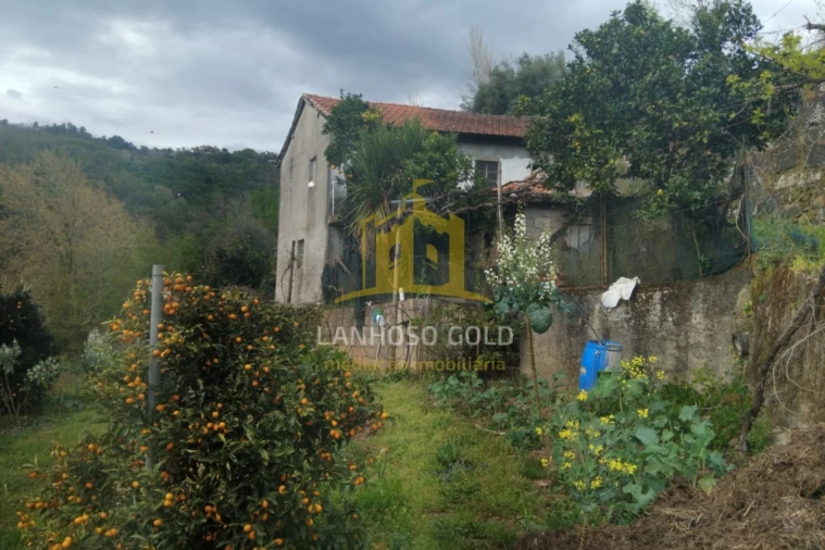 Terreno para Venda em Ferral Foto 3