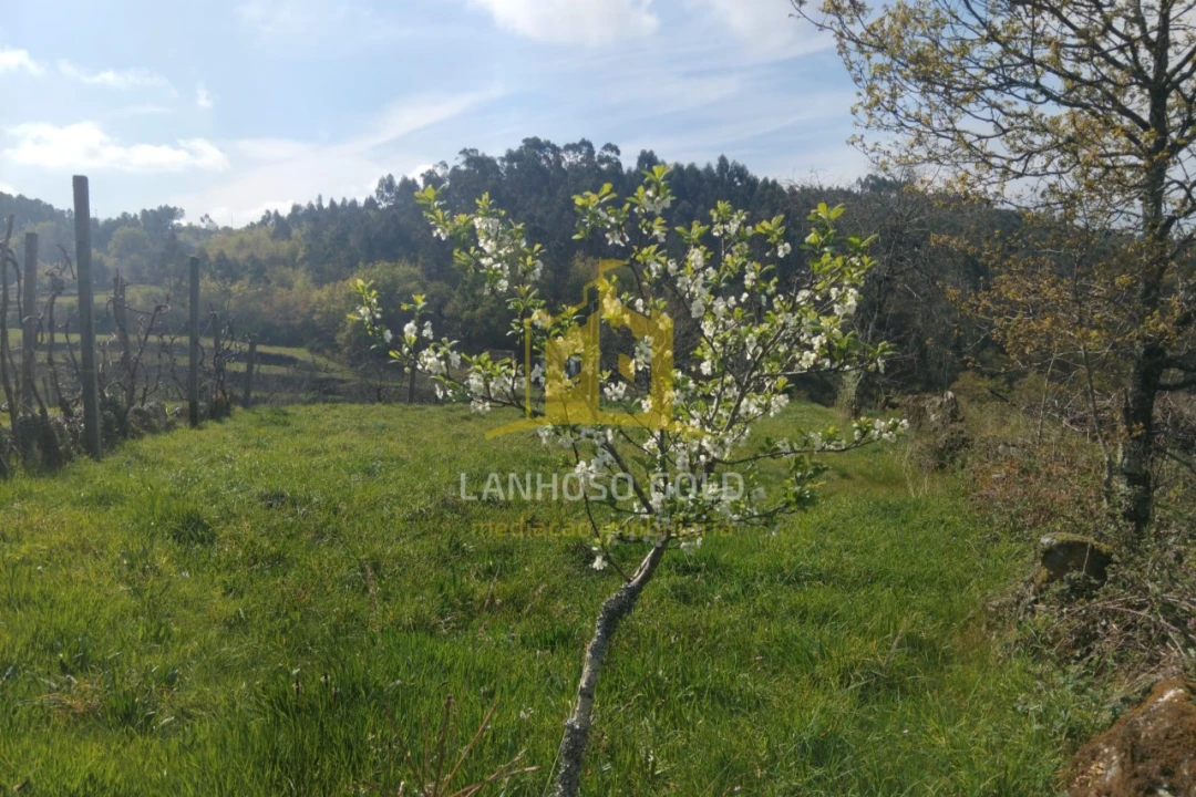 Terreno para Venda em Monte e Queimadela Foto 15