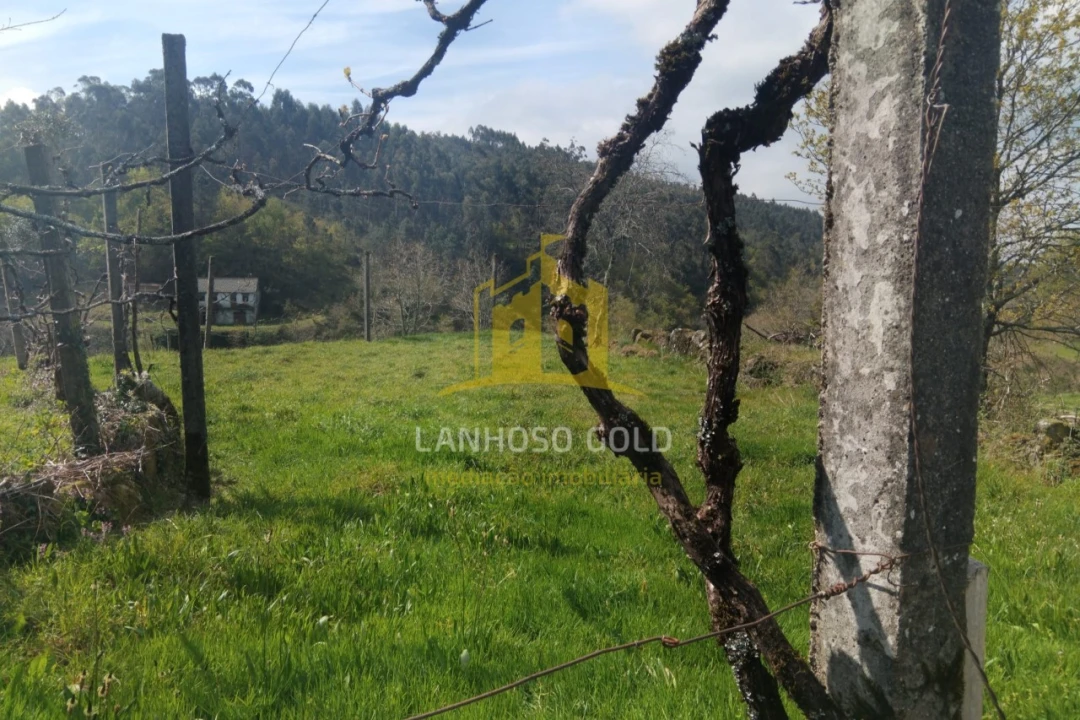 Terreno para Venda em Monte e Queimadela Foto 16